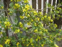 BILD0881.webp