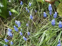 BILD0885.webp
