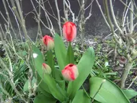 BILD0883.webp