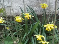 BILD0882.webp