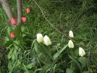 BILD0884.webp