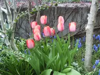 BILD0886.webp