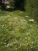 BILD0894.webp
