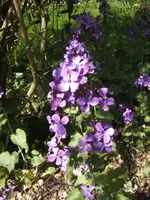 BILD0899.webp