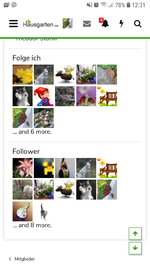 Screenshot_20190420-123125_Samsung Internet.webp