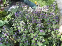 BILD0905.webp