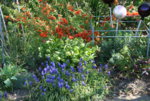 Frühling 1719.JPG