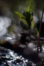 0M3A7768.webp 0M3A7768.webp