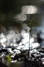 0M3A7780.webp 0M3A7780.webp