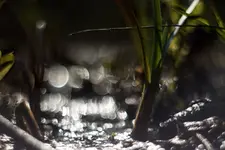 0M3A7771.webp 0M3A7771.webp