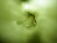P1380827.webp