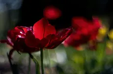 0M3A7689.webp 0M3A7689.webp