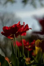 0M3A7687.webp 0M3A7687.webp