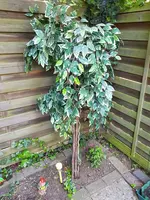20190420_175522.webp