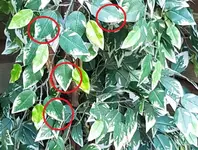 20190420_175522.webp