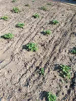IMG_20190420_164147.webp