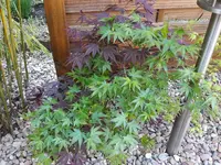 20190420_093043.webp