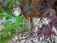20190420_093059.webp