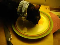 IMGP7629.webp
