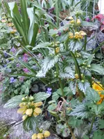 20190421_191602.webp