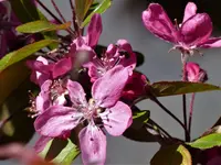 image008.webp