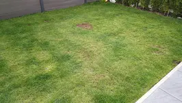 IMG_20190422_183735.webp