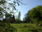 P1120392Gartenübersicht.JPG
