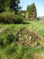 P1120393Teich.webp