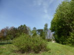 P1120421Gartenübersicht.JPG