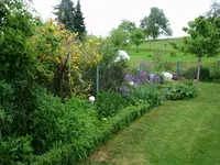 2016-05-31 Grenzbeet1.webp