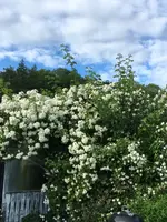 2018-06-11 Bobby James Garten.webp