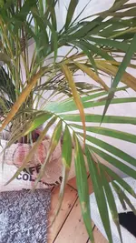 20190423_084023.webp