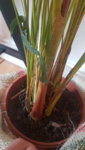 20190423_084028.jpg