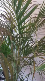 20190423_084033.webp