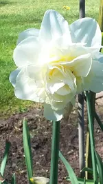 20190422_142055.webp