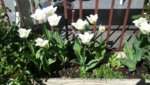 20190422_142844.jpg