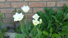 20190419_130717.webp