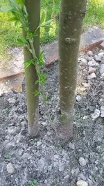20190417_142829.webp