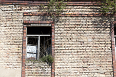 haus.webp
