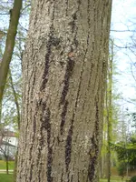DSCN8128.webp