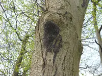 DSCN8129.webp