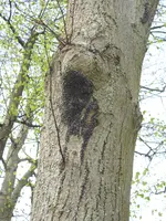 DSCN8130.webp