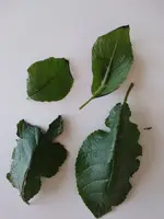 20190423_143729.webp