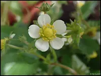 c019.webp