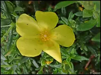 c020.webp