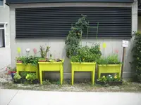 DSCN7958.webp
