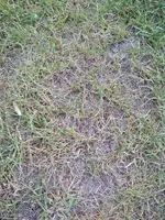 IMG_20190423_182424.webp
