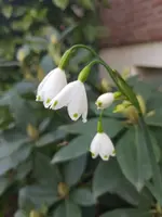20190419_185445.webp
