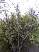20190423_180752.webp