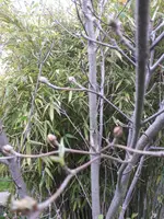 20190423_180954.webp